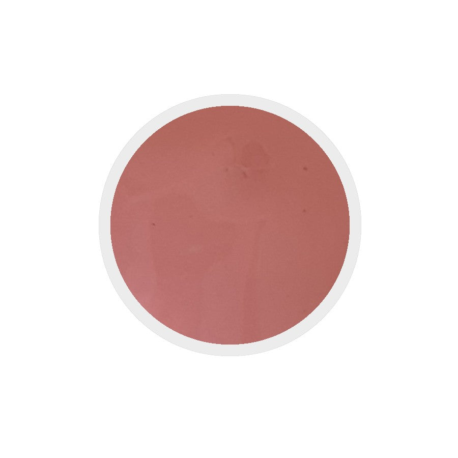 Gel colorato per unghie n.260 Never Forever