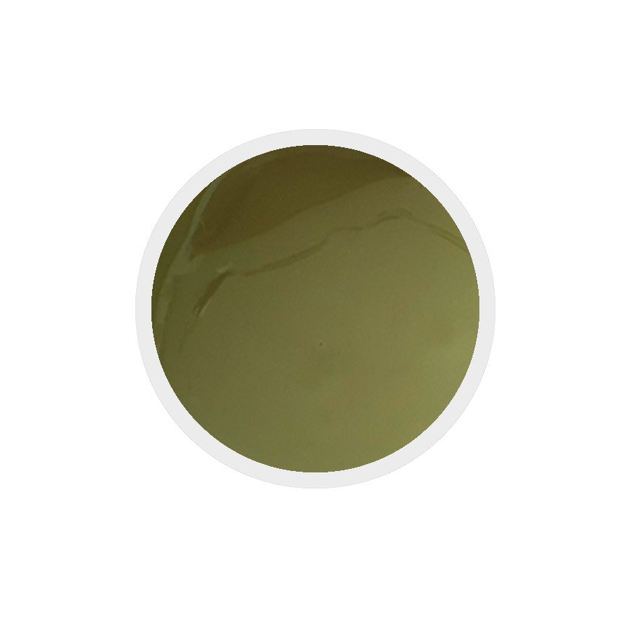 Gel colorato per unghie n.259 Green Olive