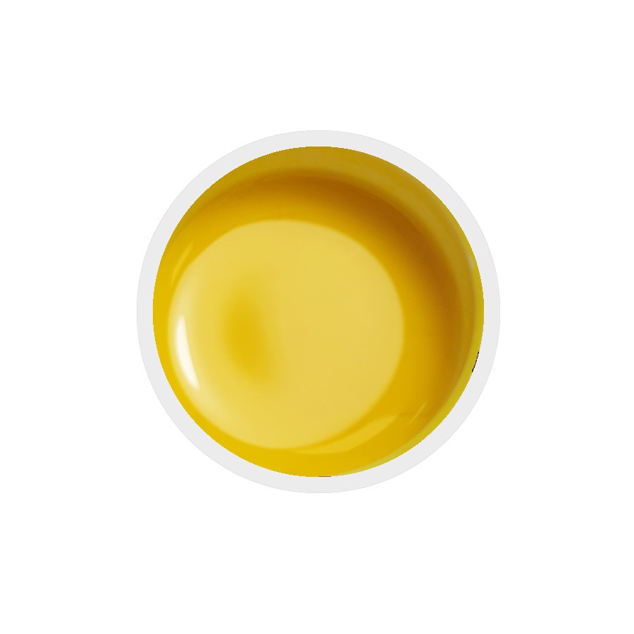 Gel colorato per unghie n.71 I Like It!