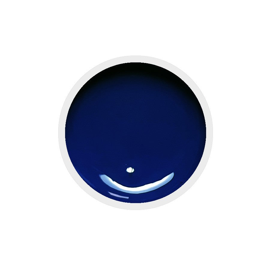 Gel colorato per unghie n.99 Secret