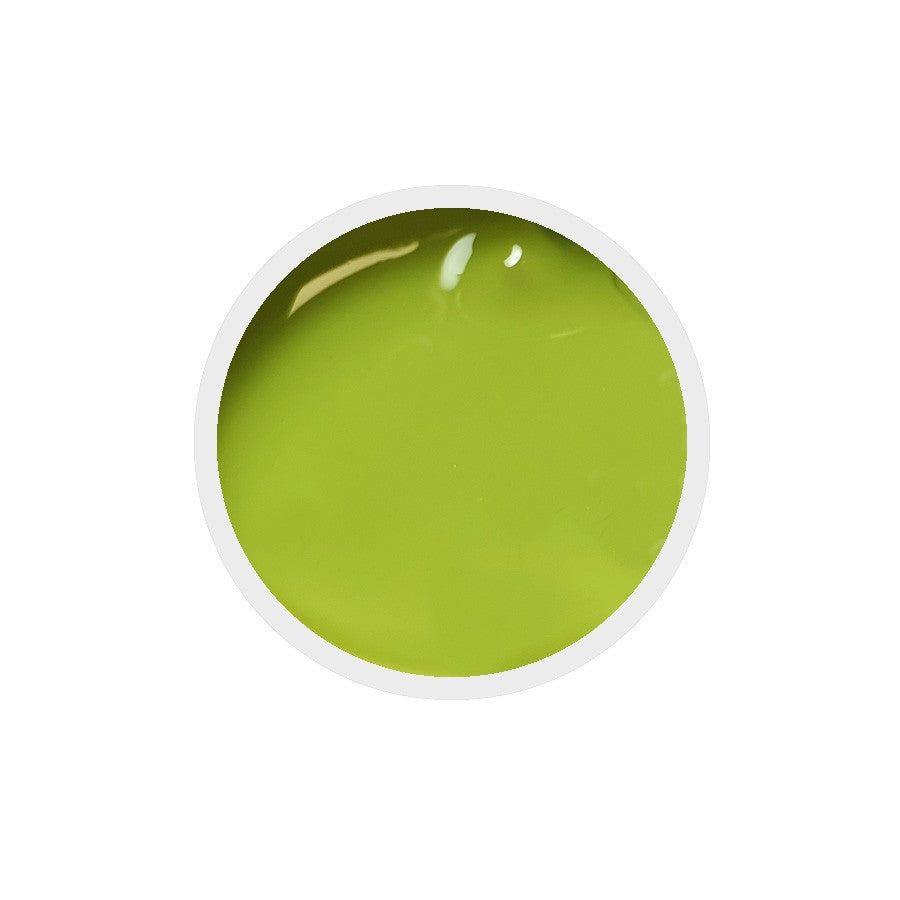 Gel colorato per unghie senza dispersione n.152 Lime