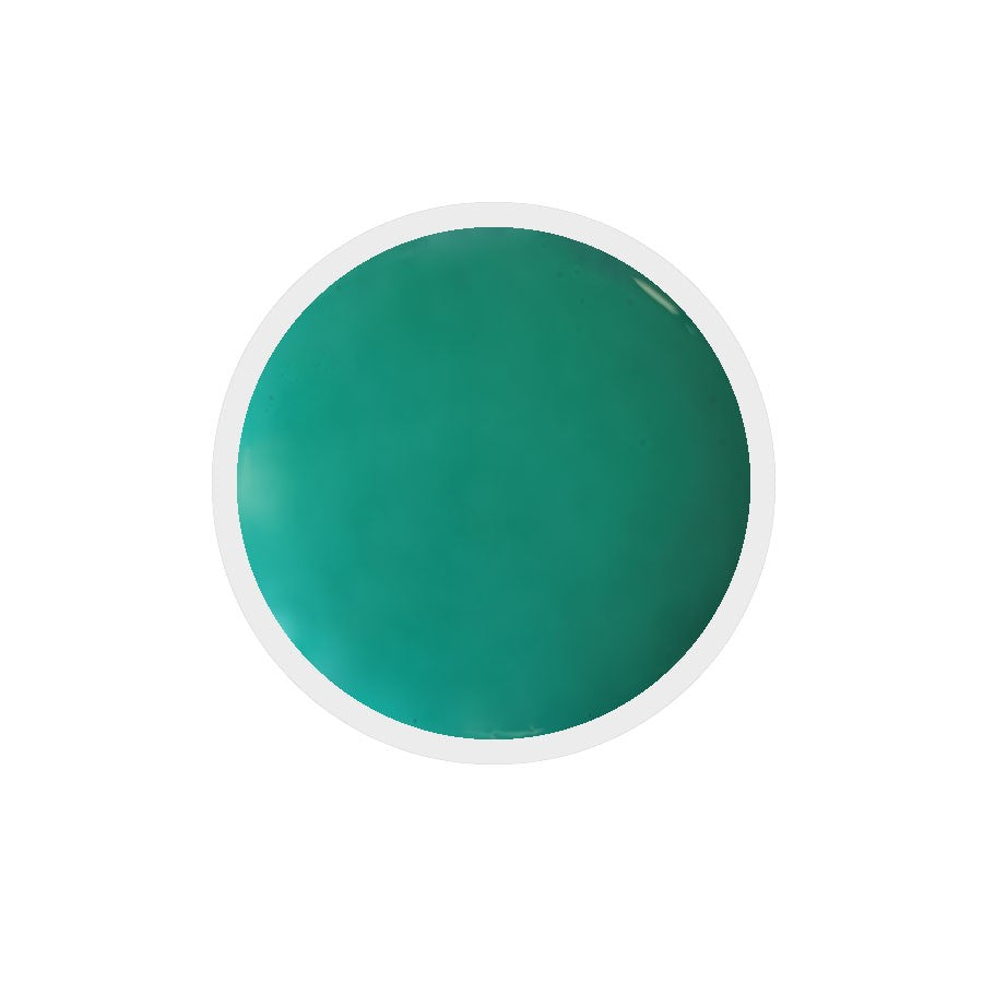 Gel colorato per unghie n.279 You Really Got Me