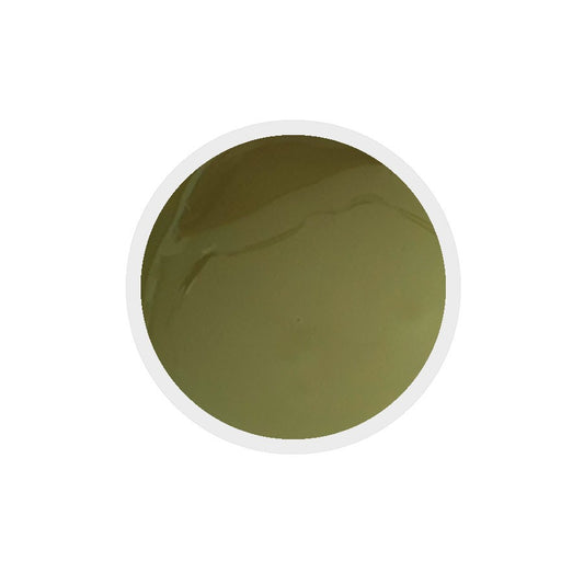 Gel colorato per unghie n.259 Green Olive