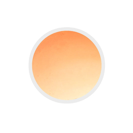 Gel colorato per unghie n.237 Peach