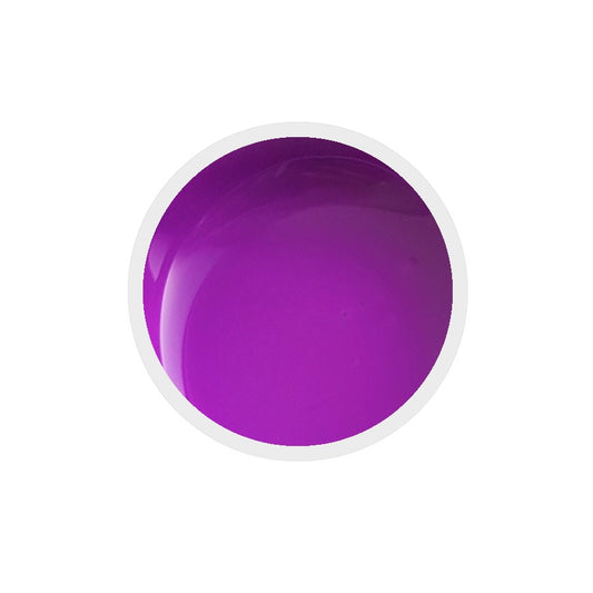 Gel colorato per unghie n.201 Ultraviolet