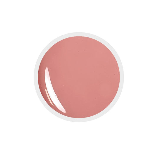 Gel colorato per unghie n.91 Sophistication