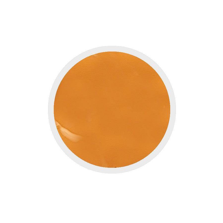 Gel colorato per unghie n.295 Orange Tiger